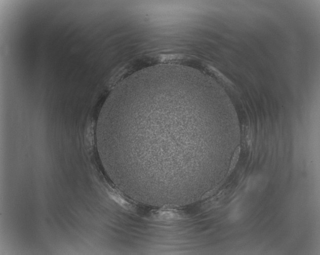 X0000072950475200608041312