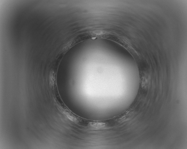 X0000072950476200608041312