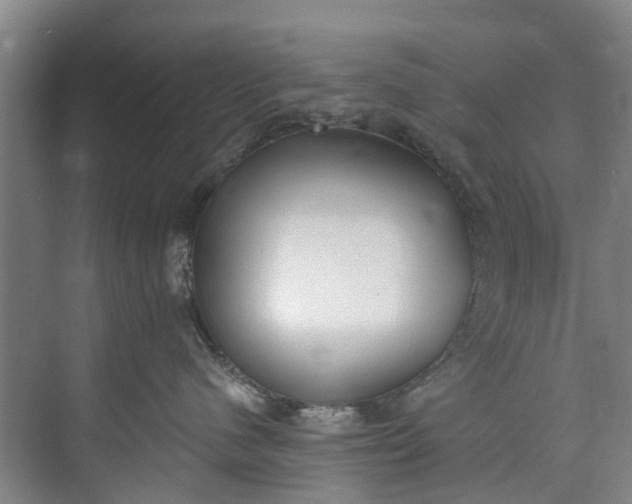 X0000072950480200608041312