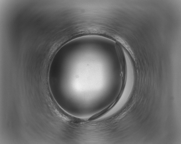 X0000072950481200608041311