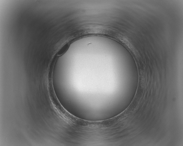 X0000072950482200608041311