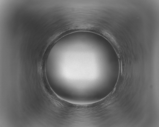 X0000072950483200608041311