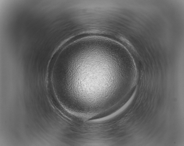 X0000072950484200608041311