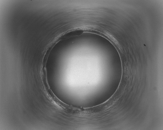 X0000072950485200608041311