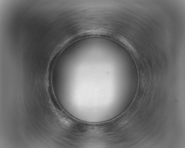 X0000072950486200608041311