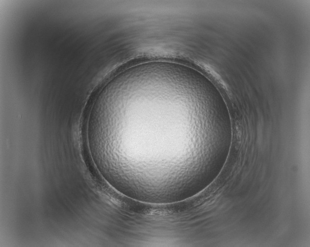 X0000072950487200608041311