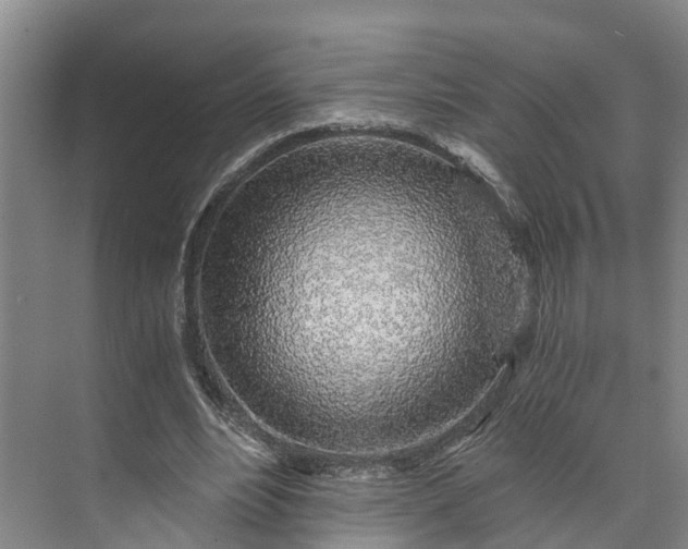 X0000072950488200608041311