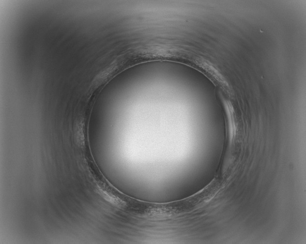 X0000072950489200608041311