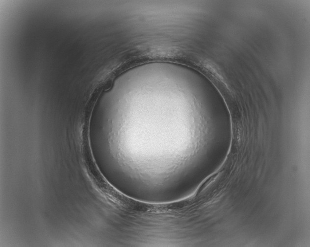 X0000072950491200608041311