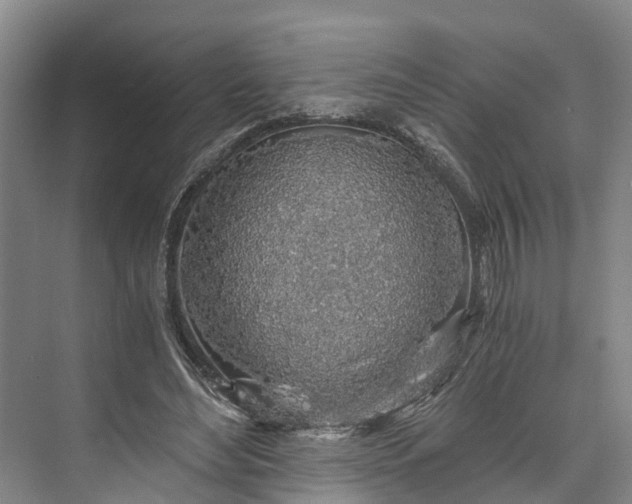 X0000072950492200608041311