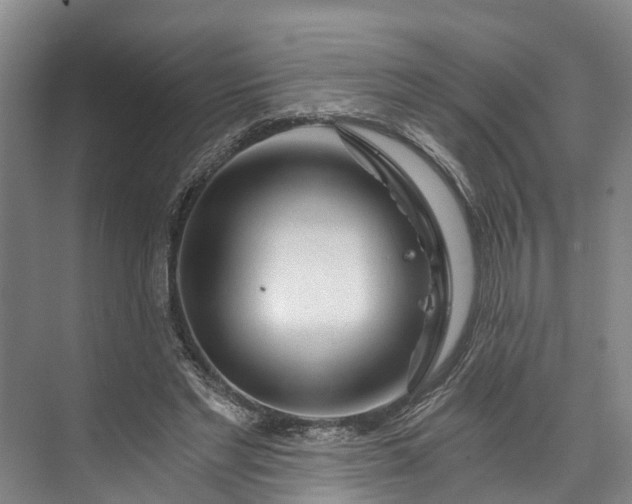 X0000072950493200608041311