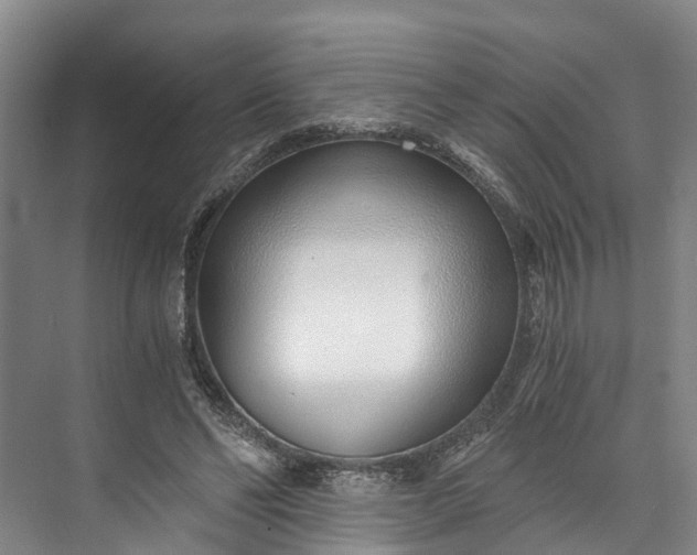 X0000072950494200608041311