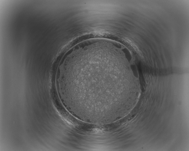 X0000072950496200608041311