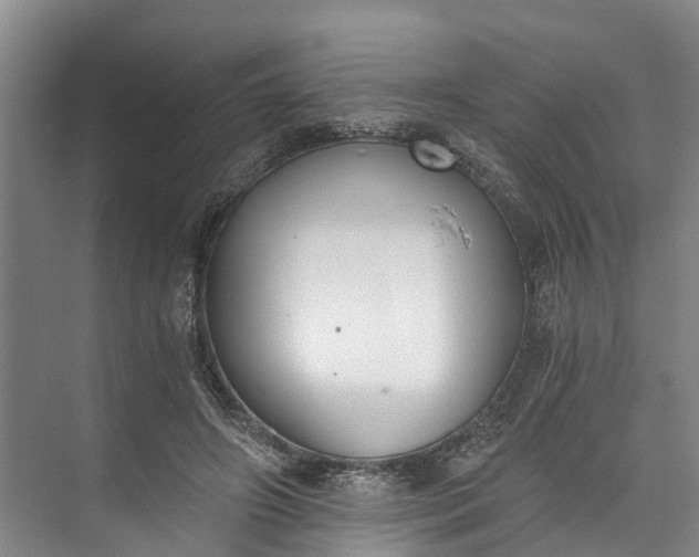 X0000072950498200608041311