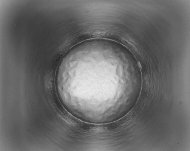 X0000072950499200608041311