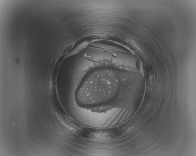 X0000072950500200608041311