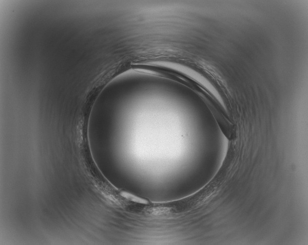 X0000072950501200608041311