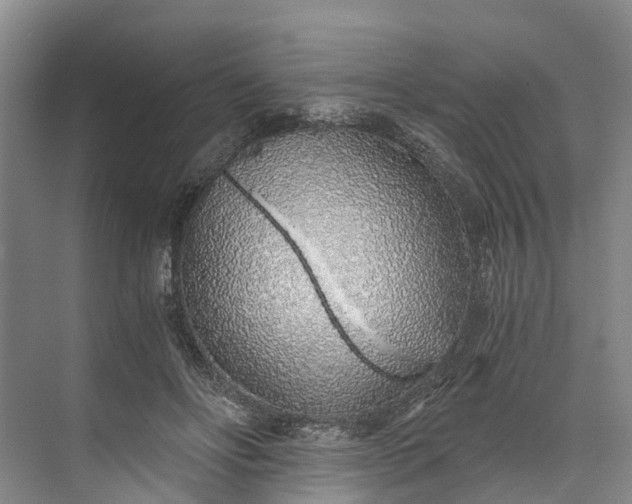 X0000072950502200608041311