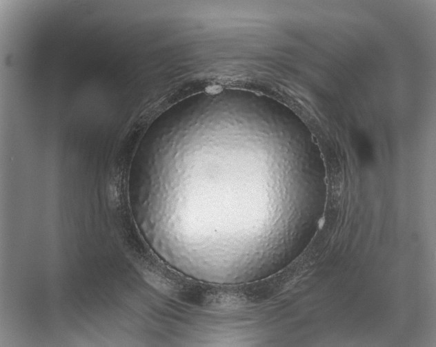 X0000072950503200608041311