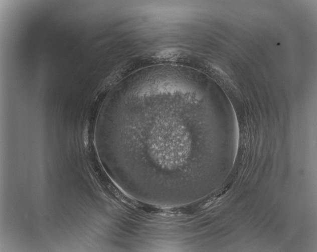 X0000072950504200608041311