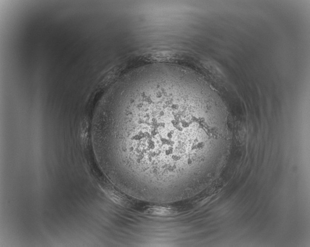 X0000072950507200608041311