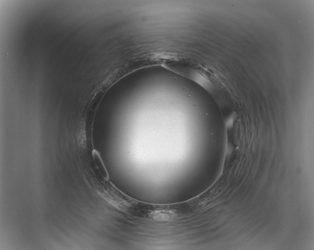 X0000072950508200608041311