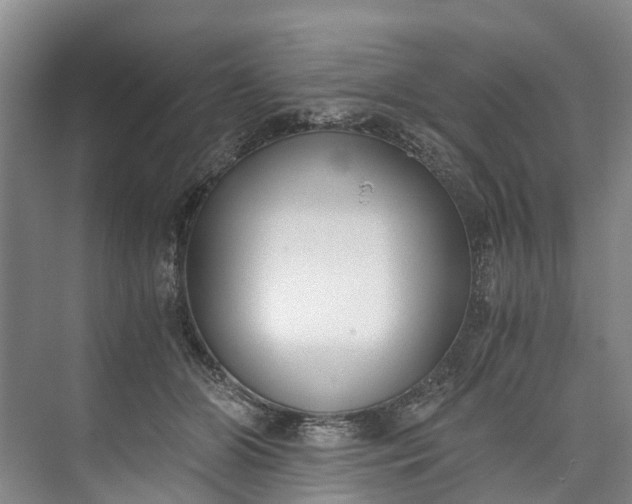 X0000072950510200608041311