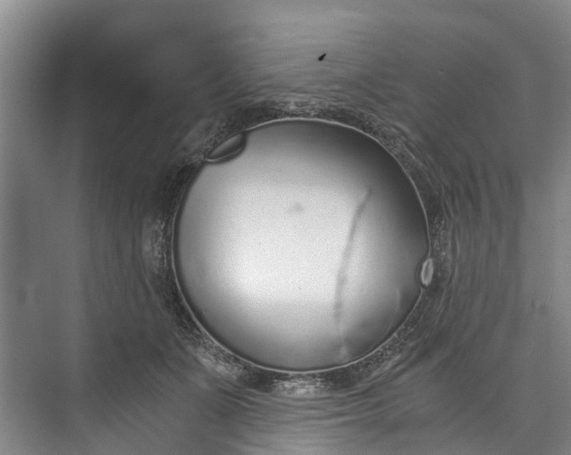 X0000072950511200608041311