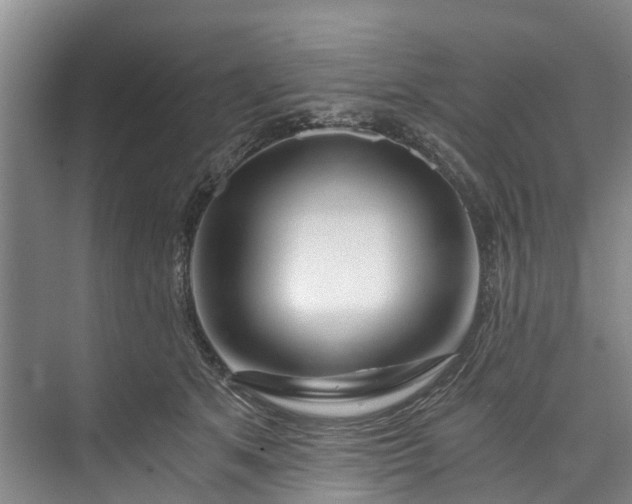 X0000072950513200608041311