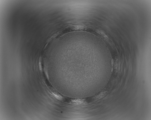 X0000072950516200608041311