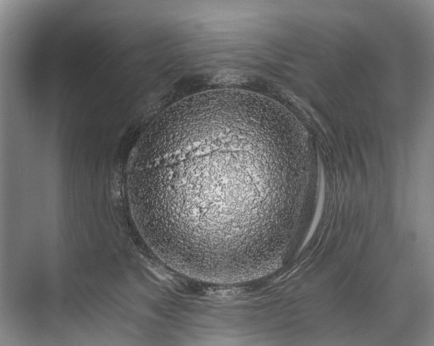 X0000072950517200608041311