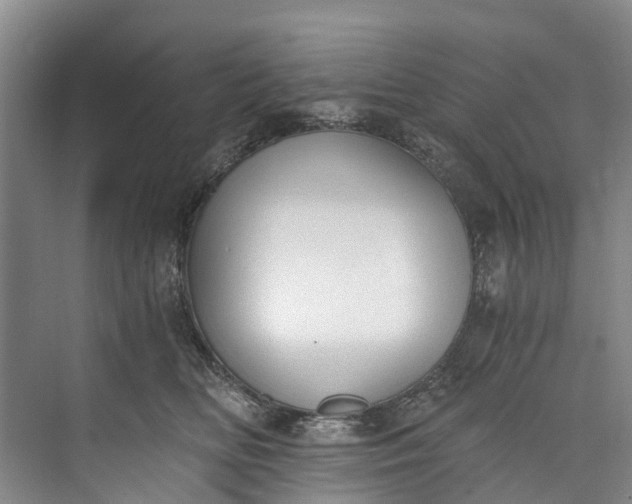 X0000072950518200608041311