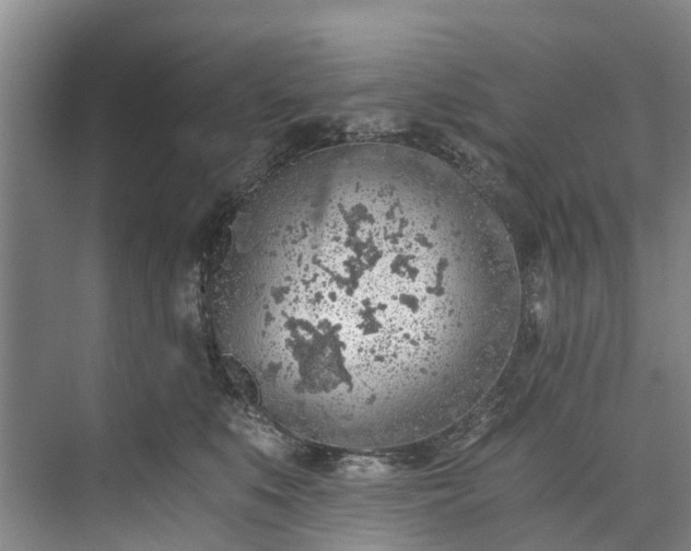 X0000072950519200608041311