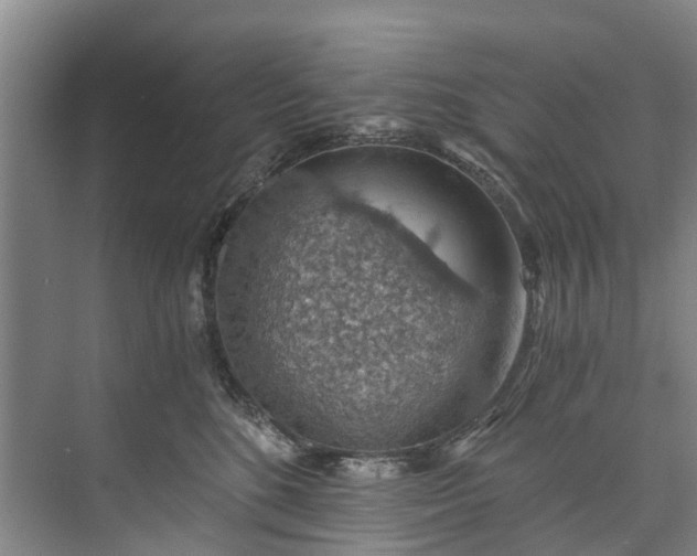 X0000072950520200608041311