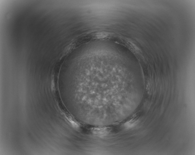 X0000072950524200608041311