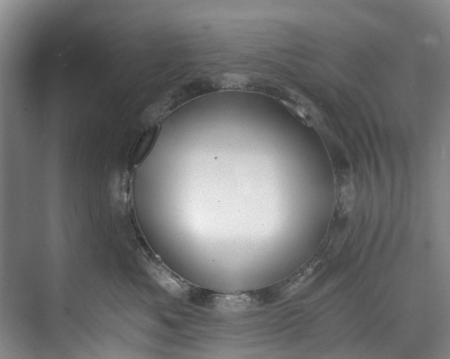 X0000072950525200608041311