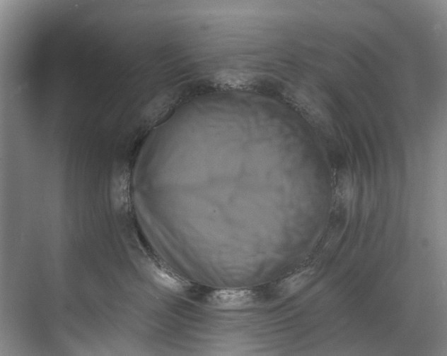 X0000072950526200608041311