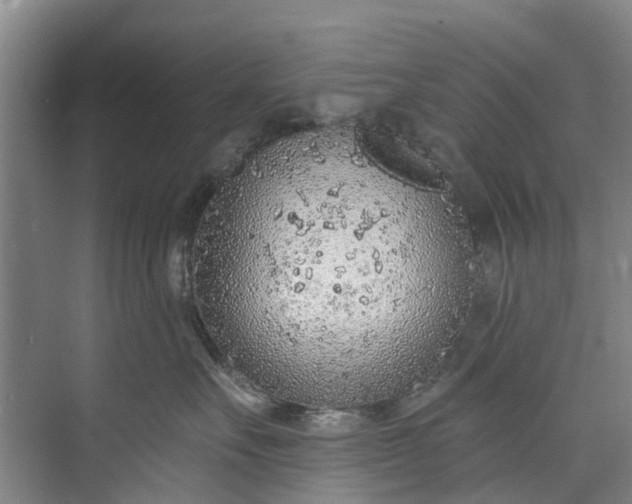 X0000072950527200608041311