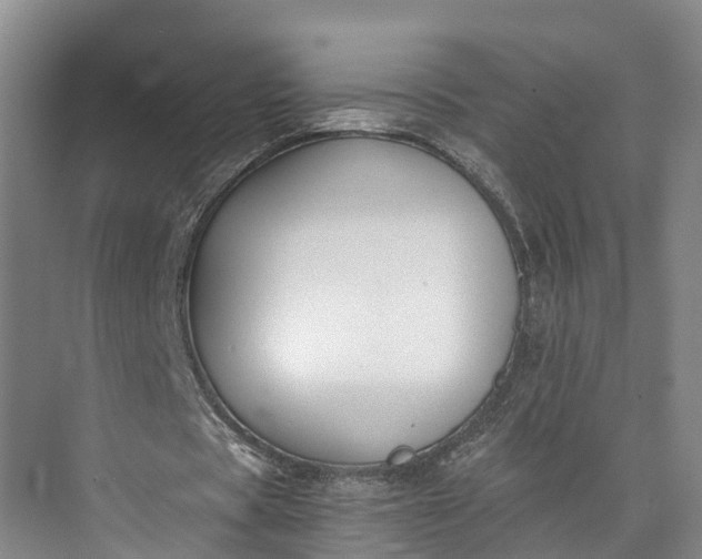 X0000072950529200608041310