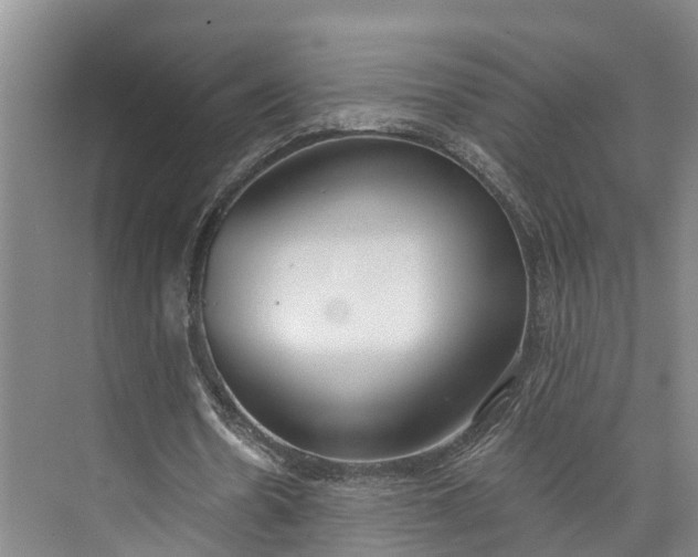 X0000072950530200608041310