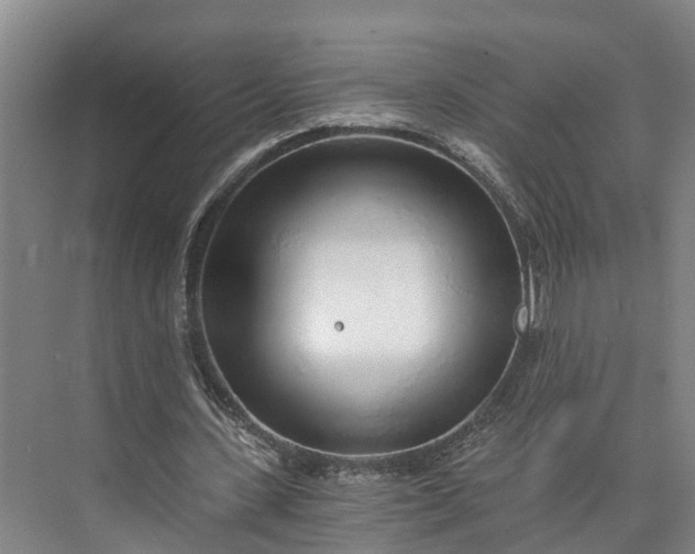 X0000072950531200608041310