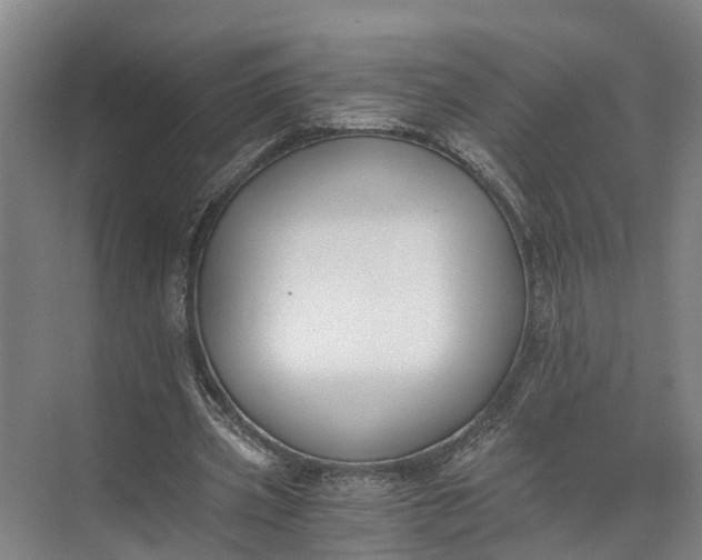 X0000072950533200608041310