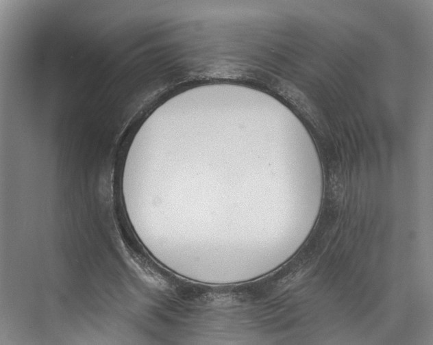 X0000072950534200608041310