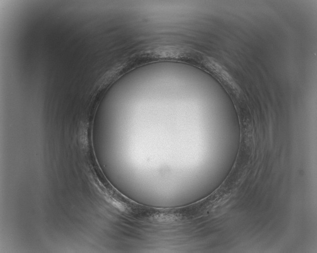 X0000072950537200608041310