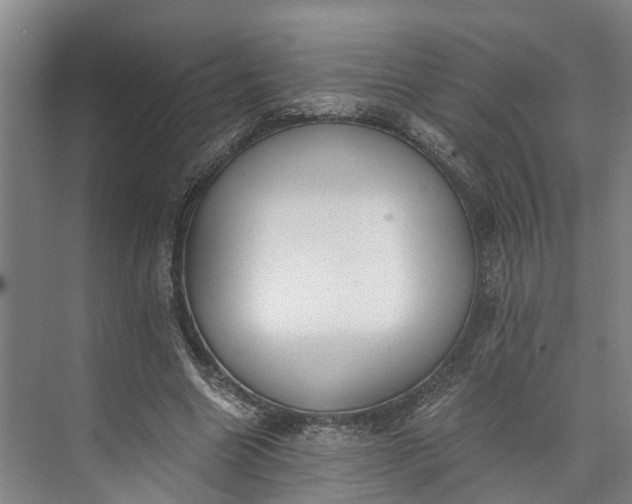 X0000072950538200608041310