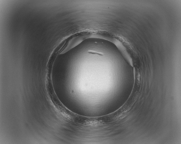 X0000072950540200608041310