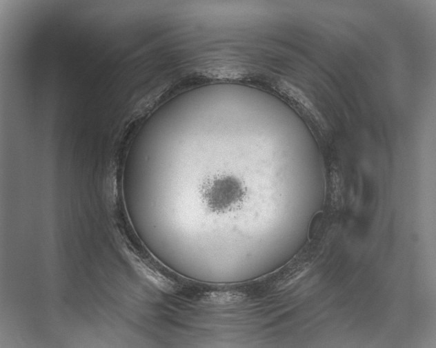 X0000072950541200608041310