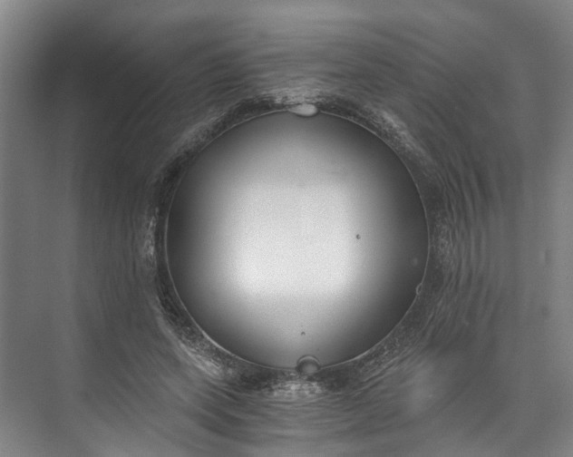 X0000072950543200608041310