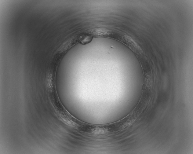 X0000072950549200608041310