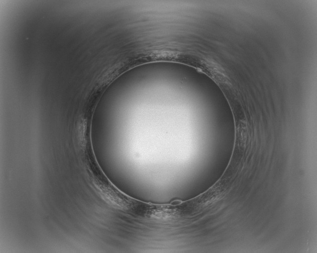 X0000072950550200608041310